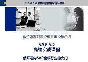 45sap在线视频,揭秘企业资源规划系统奥秘
